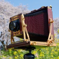 📸久保田将弘(syasinya3.com) (@_masahirokubota) 's Twitter Profile