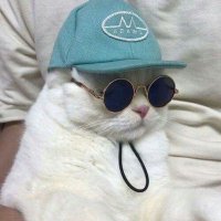 Alex 👾 (@policyfromalex) 's Twitter Profile