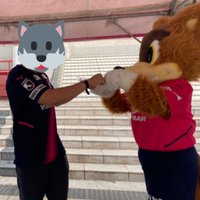 のり🌸 (@cerezo_nori) 's Twitter Profile