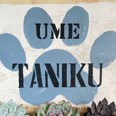 北国海辺に住むタニラー🌱 小さなイベントには出店🎪 大きなイベントには狩り出没🥷 植物垢さん大歓迎 突然🎁企画好き 低浮上時は体調不良か業務多忙 皆さんの優しさのおかげでX続いてます🫶いつもありがとう♡