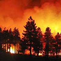 ALERTWildfire (@alertwildfire) 's Twitter Profile
