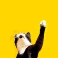 Yasushi Nakaguro (@yasn2010) 's Twitter Profile