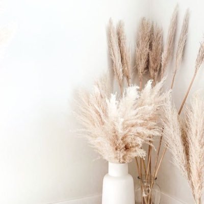 omochi20220522's profile picture. 不妊治療アカウント AIH4回✖ 2022年5月に体外受精にステップアップ 無言フォロー大歓迎☺無言フォロー失礼します 10月移植✖︎ 2023年1月移植✖︎ 6月移植✖️7月移植🧚8w5dで流産 2024年1月PGTA正常胚得られず 2025年1月PGTA先進医療