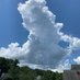 Cumulonimbus (@palmerzippy) Twitter profile photo Cumulonimbus (@palmerzippy) Twitter profile photo