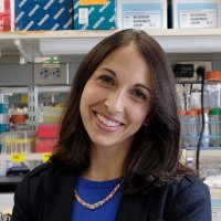 Elizabeth Pollina (@pollinalab) 's Twitter Profile