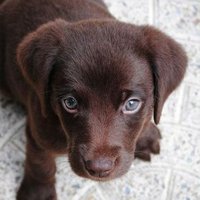 Relaxed and Collected (@overrelaxed71) 's Twitter Profile