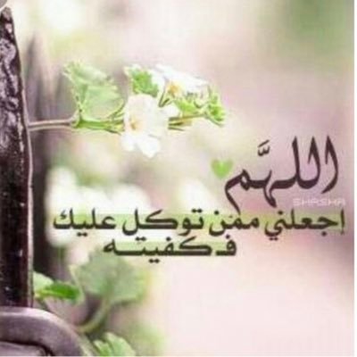 amalhalshehri's profile picture. 🍃اللهم أجبرني جبراً يليق بك وحدك، وأمسح علي روحي من مس الضيق وشتات الأمر وحسره القلب وسوء الحظ وشر الدنيا، وارحمني برحمتك الواسعه يا الله🍃