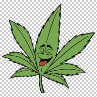 Cuenta que te avisa cuando legalizan el cannabis(@thecannabico) 's Twitter Profile Photo