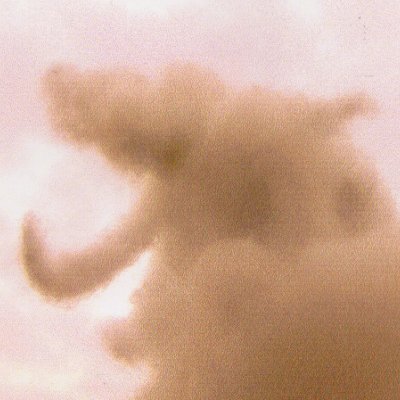 ノコノコゆかわさんのプロフィール画像
