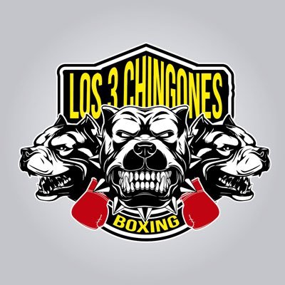 Mike from Mike Angelino Sports, Ed from Cholo Trucker and David from Rolling With The Punches TV are now a Boxing and Cigar force to be reckoned with🥊🥊