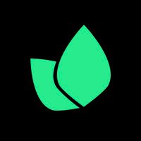 MINT IT (@mintitonkadena) 's Twitter Profile