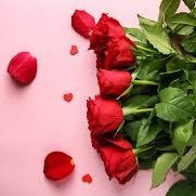 snatchelorettte's profile picture. just a neuropsych profesh enjoying ✨some✨ reality trash tv 💋