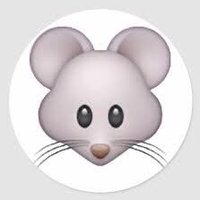 Mouse_Whiskers2 (@mouse_whiskers2) 's Twitter Profile