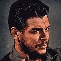 جيفارا "The wolf" (@givarawolf1) 's Twitter Profile