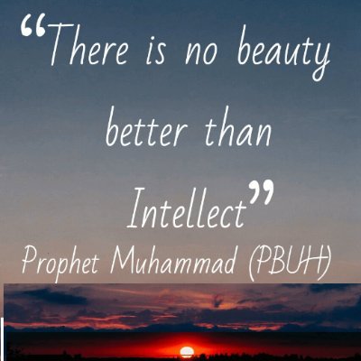 ArfinMohammad1's profile picture. 