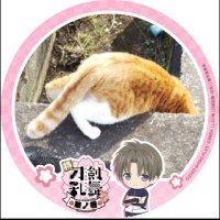 ねこじ (@mn_jel) 's Twitter Profile