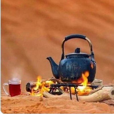 kindly_511's profile picture. تحذف حضرتنا ؛ احذف حضرتك و بسلامتك 😌