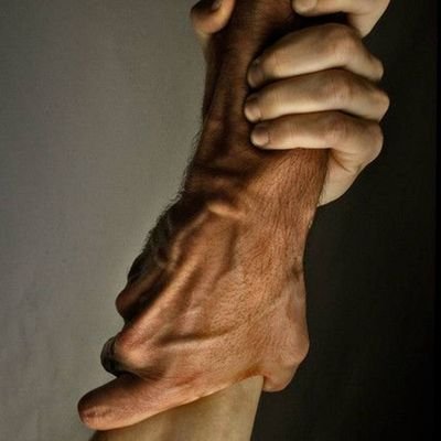 AlshbybyYasyn's profile picture. 