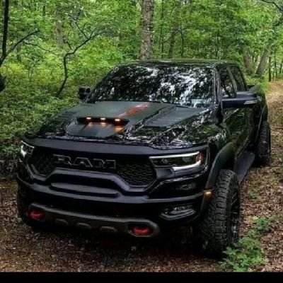 spackeletric's profile picture.
