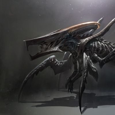 FOXWite0's profile picture. 