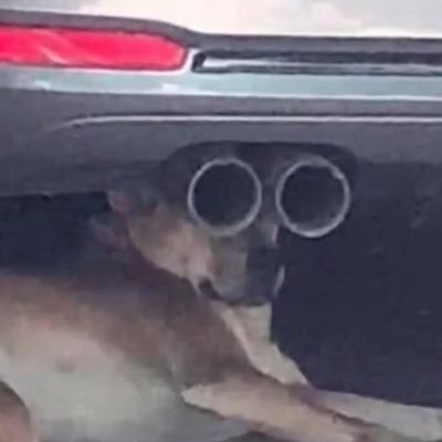 BinHua87's profile picture. 