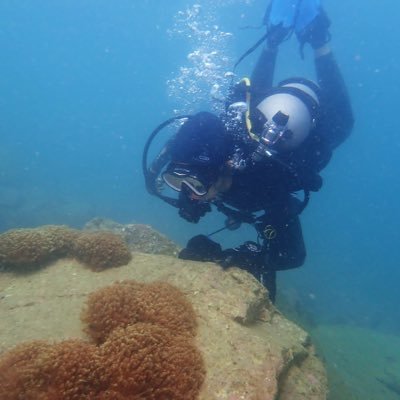 Aspiring marine ecologist 🌳 with experience in mangrove and coral ecology. currently studying azooxanthellate corals. Avid crocheter, rock climber, SCUBA diver