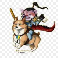 Ragnifella (@niraco79) 's Twitter Profile