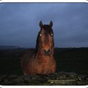 Skye India Atkinson - @Skye_LUFC - Twitter