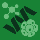 Applied Biosciences MDPI (@applbiosci_mdpi) 's Twitter Profile
