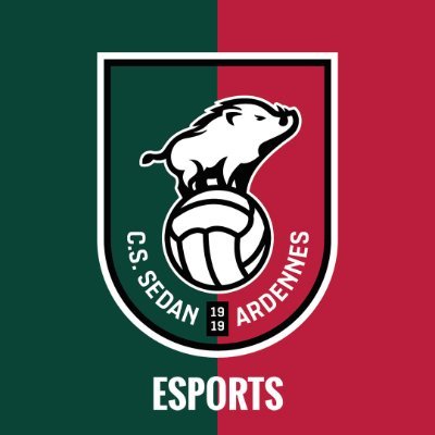 🎮 Compte Twitter officiel de l'équipe eSports du @_CSSA 🐗