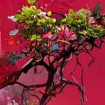 clsmbkxifh❤️ Memecoin (@clsmbkxifh) 's Twitter Profile