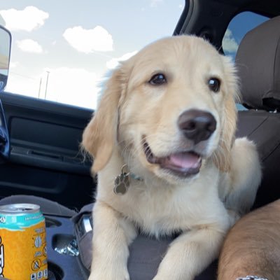 slimPaci's profile picture. buy me canes