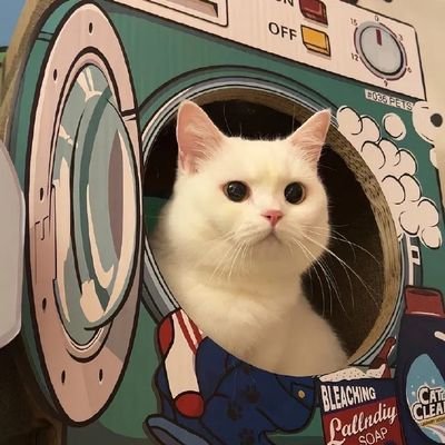 Xisezi_69's profile picture. 发骚日常