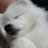 Crimmy_oce's profile image
