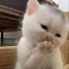 topsis2002's profile picture. ไม่มีอะไรมา นอกจากเมาไปกับความโสด~❤️