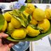 good_greengrocer_guide (@goodgreengrocer) Twitter profile photo good_greengrocer_guide (@goodgreengrocer) Twitter profile photo