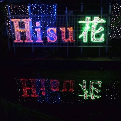 山形県鶴岡市藤島歴史公園で今年7年目となる「藤島イルミネーションin Hisu花」が3年ぶりの開催！2023.11.3(金)〜2024.1.8(月)毎日16時30分〜21時30分まで点灯✴︎大人から子供まで楽しめる ※電球不足、協力求む💡今年度は雨を味方につけたイルミネーションです #フジアメ #藤島イルミネーション