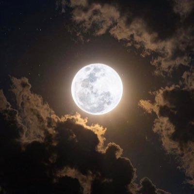 234techbros's profile picture. Every tweet na Cruise, if you take them seriously that’s on YOU!!!