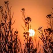 Portia02464093's profile picture. Sport fanatic - Pisces - Imaginative - Still discovering who I am