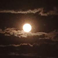 香弥 (@koumi_praesepe) 's Twitter Profile
