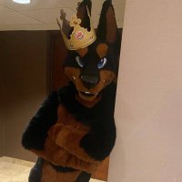 Ruger Doberman(@RugerDobe) 's Twitter Profileg