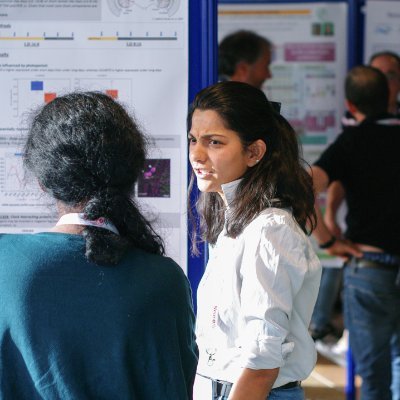 PhD student at Neurobiology and Genetics, Universität Würzburg @Würzburg FlyNeurogenetics