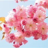 子育て中でも実践できるらくらく副業を紹介しています🌻スマホ1台でどこでもお仕事可能🌻自分のペースでできるときにやれます🌻私自身3ヵ月で月100万円達成しました♡本気で副業をやりたい方をサポートしてます🔥無言フォロー大歓迎です💙