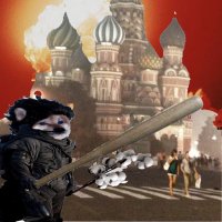 Fella’dib 🇺🇦 Україна або смерть(@radmosis) 's Twitter Profile Photo