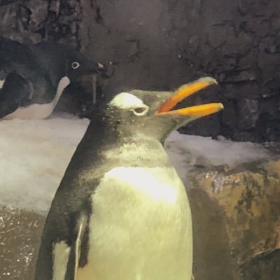 ラシヴァさんのプロフィール画像
