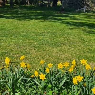 mezjac's profile picture. 