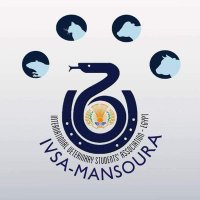 IVSA Mansoura (@ivsamansoura) Twitter profile photo