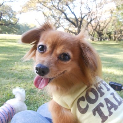 shottyさんのプロフィール画像