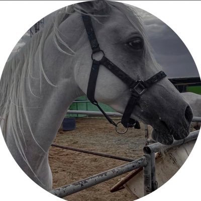 5llaxf's profile picture. 