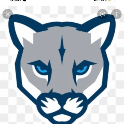 LadyCougarsHoop Profile Picture